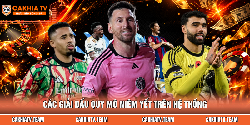 Các giải đấu quy mô niêm yết trên hệ thống