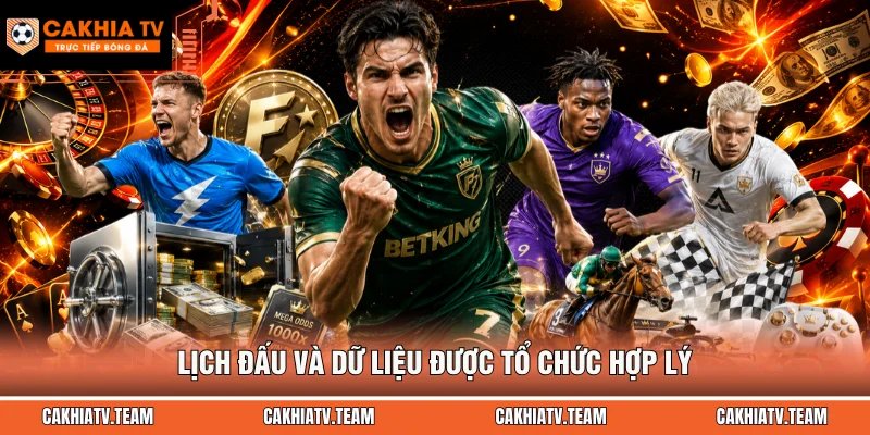 Lịch đấu và dữ liệu được tổ chức hợp lý