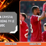 Liverpool Hạ Crystal Palace - Tác Động Tỷ Lệ Sàn Cược